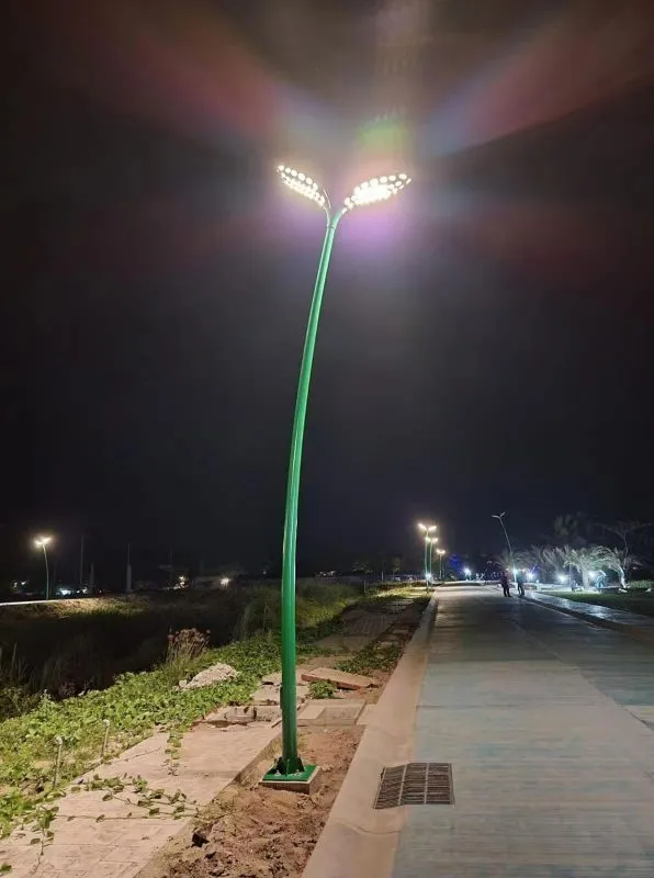Leaf Shape Street Light